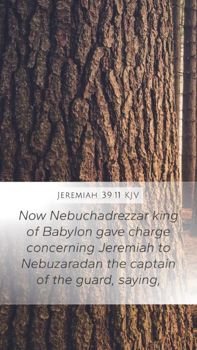 Jeremiah 39:11 Explained