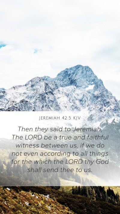 Jeremiah 42:5 Explained