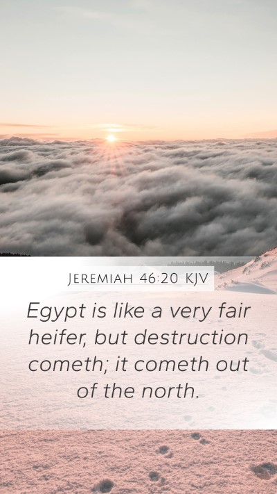 Jeremiah 46:20 Explained