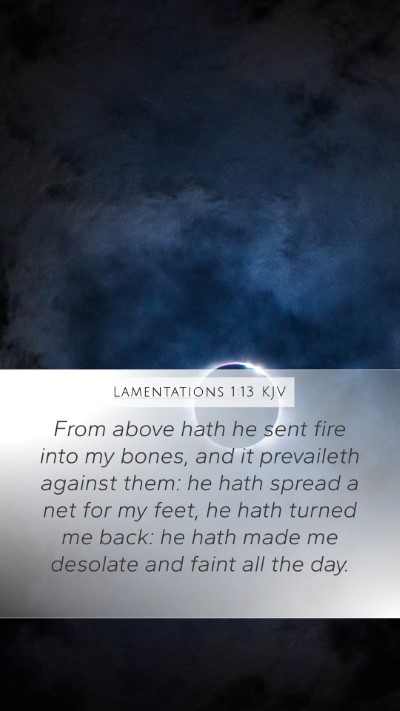 Lamentations 1:13 Explained