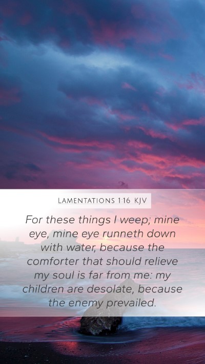 Lamentations 1:16 Explained