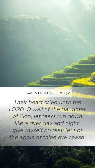 Lamentations 2:18 Explained