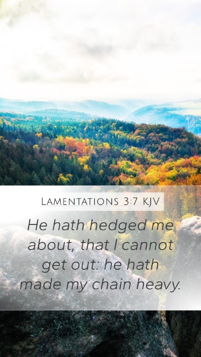 Lamentations 3:7 Explained