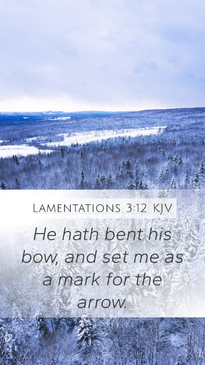 Lamentations 3:12 Explained