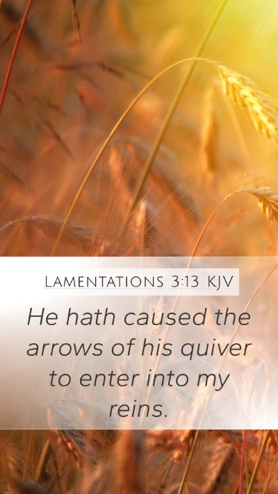 Lamentations 3:13 Explained