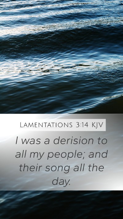 Lamentations 3:14 Explained