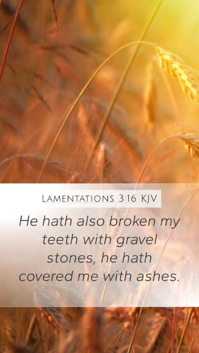 Lamentations 3:16 Explained