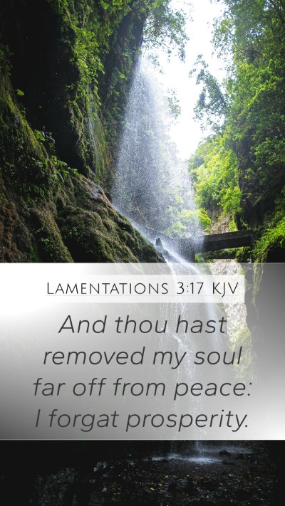 Lamentations 3:17 Explained