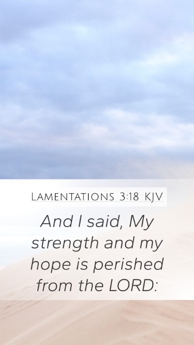 Lamentations 3:18 Explained