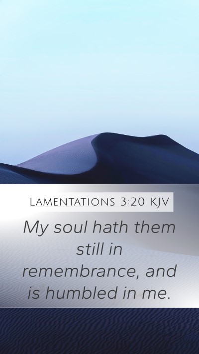 Lamentations 3:20 Explained