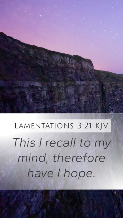 Lamentations 3:21 Explained