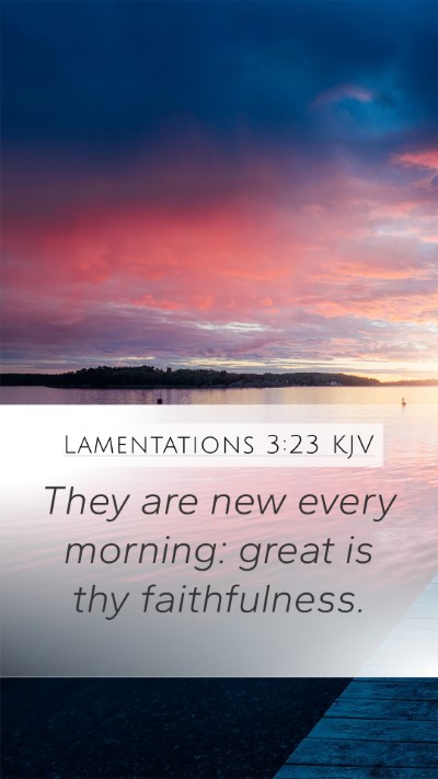 Lamentations 3:23 Explained