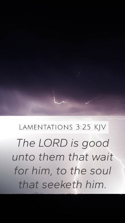 Lamentations 3:25 Explained