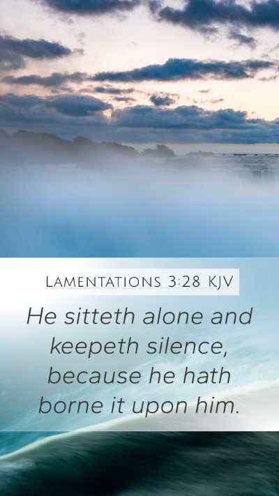 Lamentations 3:28 Explained