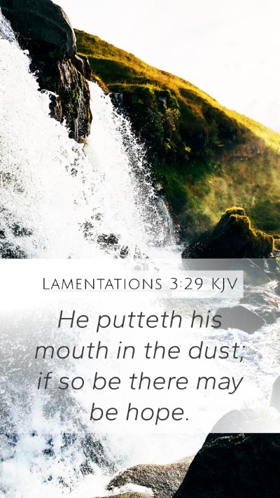 Lamentations 3:29 Explained