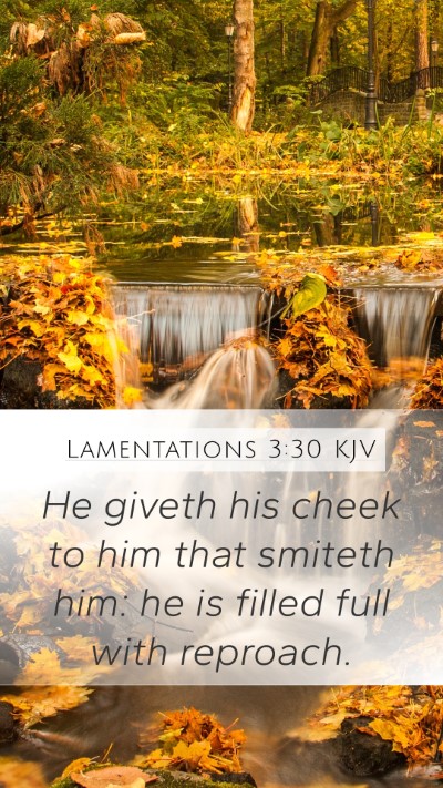 Lamentations 3:30 Explained