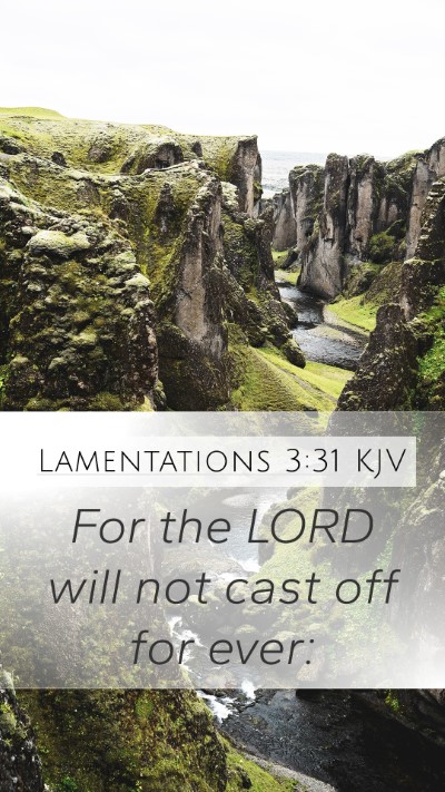 Lamentations 3:31 Explained