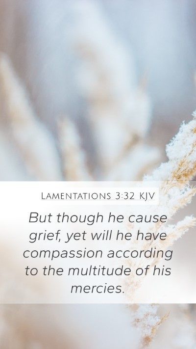 Lamentations 3:32 Explained