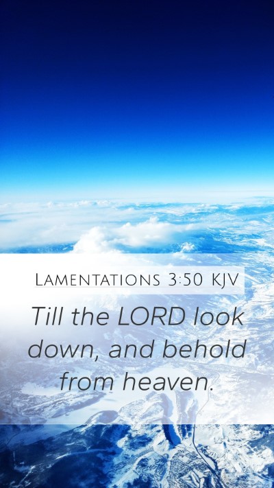 Lamentations 3:50 Explained