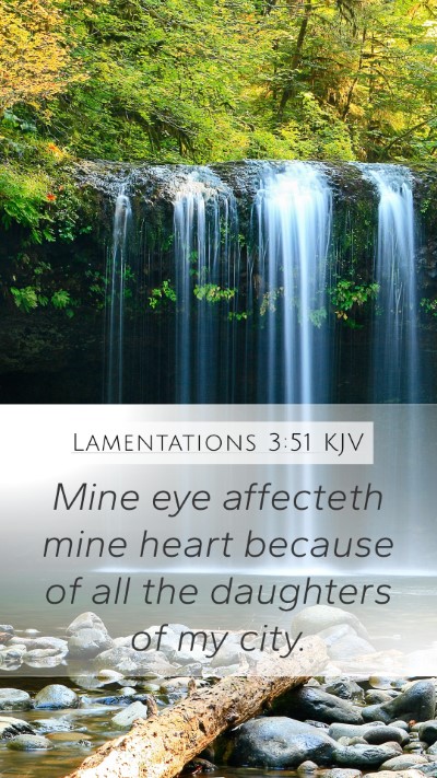 Lamentations 3:51 Explained