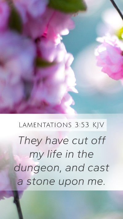 Lamentations 3:53 Explained