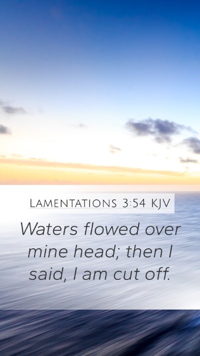 Lamentations 3:54 Explained