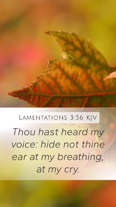 Lamentations 3:56 Explained