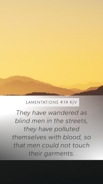 Lamentations 4:14 Explained