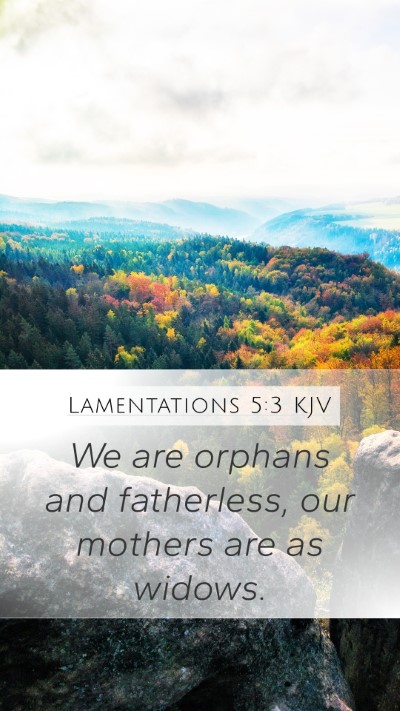 Lamentations 5:3 Explained