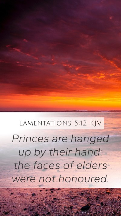 Lamentations 5:12 Explained