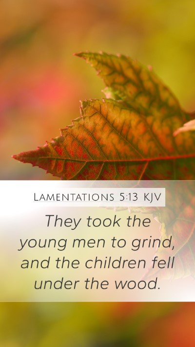 Lamentations 5:13 Explained