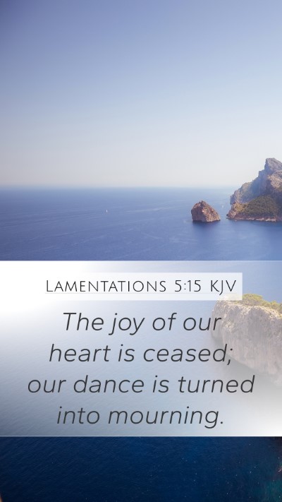 Lamentations 5:15 Explained