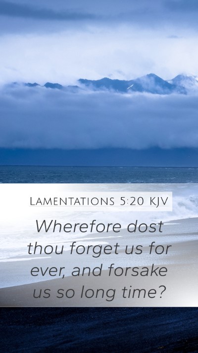 Lamentations 5:20 Explained