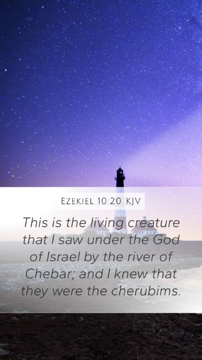 Ezekiel 10:20 Explained