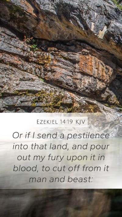 Ezekiel 14:19 Explained