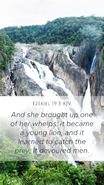 Ezekiel 19:3 Explained