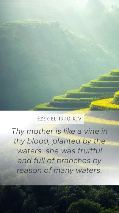 Ezekiel 19:10 Explained