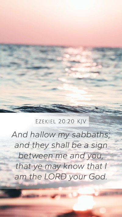 Ezekiel 20:20 Explained