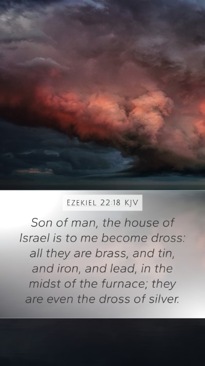 Ezekiel 22:18 Explained