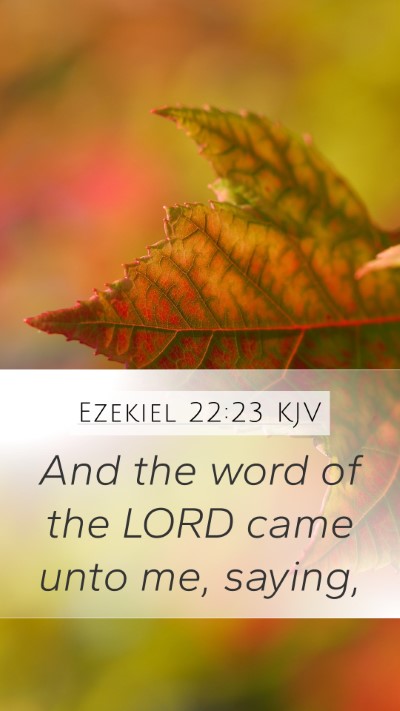 Ezekiel 22:23 Explained