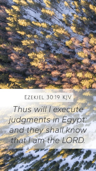 Ezekiel 30:19 Explained