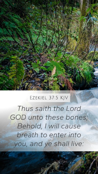 Ezekiel 37:5 Explained