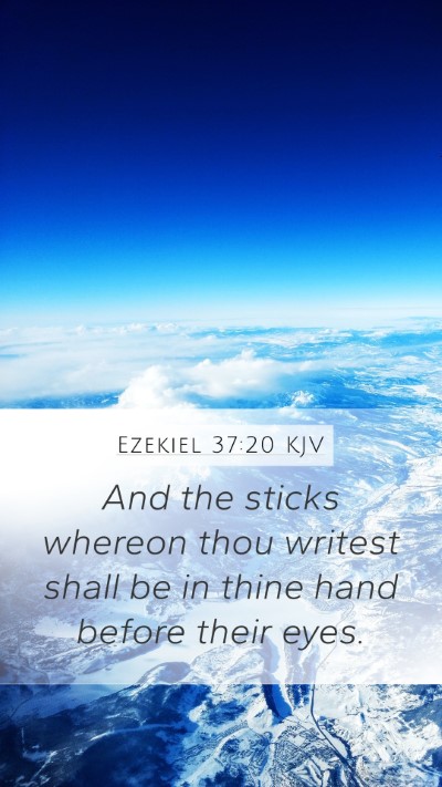 Ezekiel 37:20 Explained