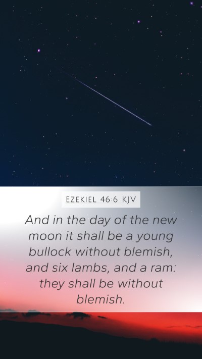 Ezekiel 46:6 Explained