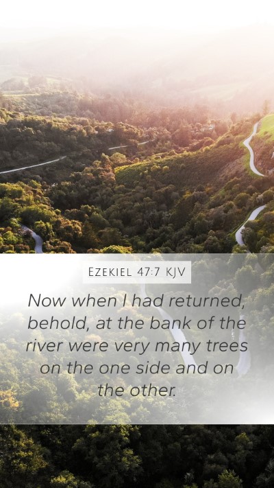 Ezekiel 47:7 Explained