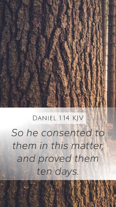 Daniel 1:14 Explained