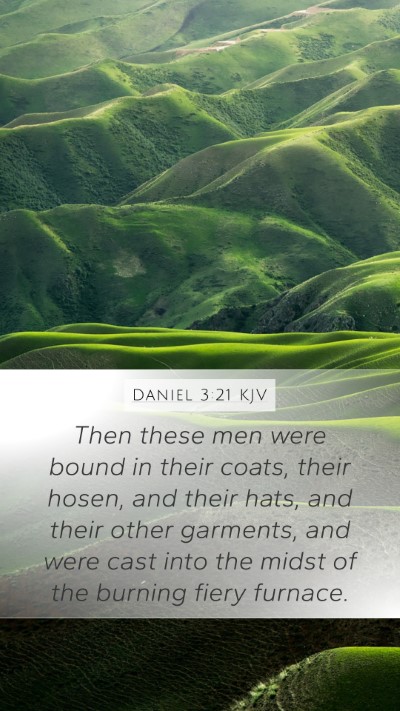 Daniel 3:21 Explained