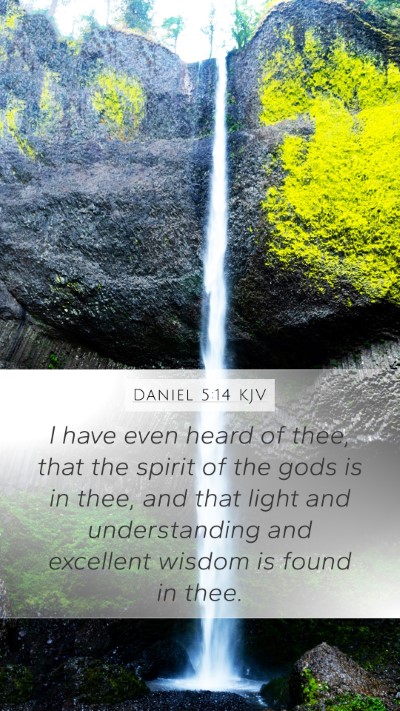 Daniel 5:14 Explained