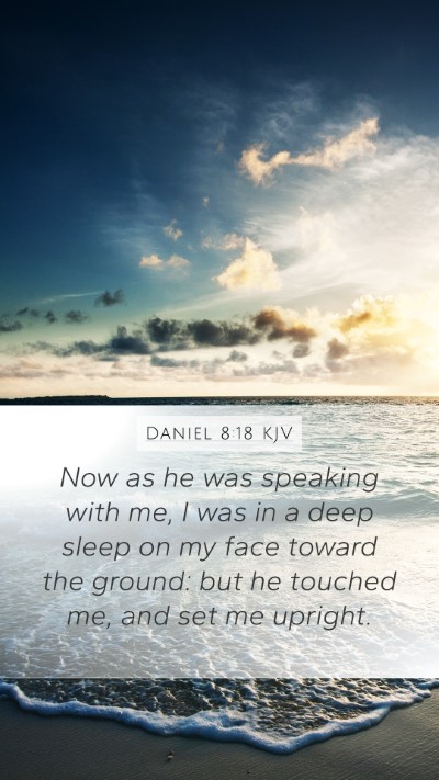 Daniel 8:18 Explained