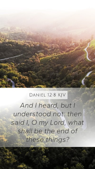 Daniel 12:8 Explained